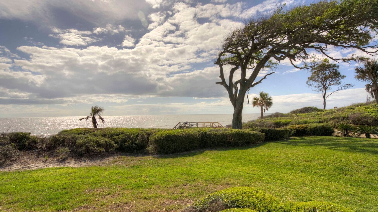 Photo of Others in Jekyll Island