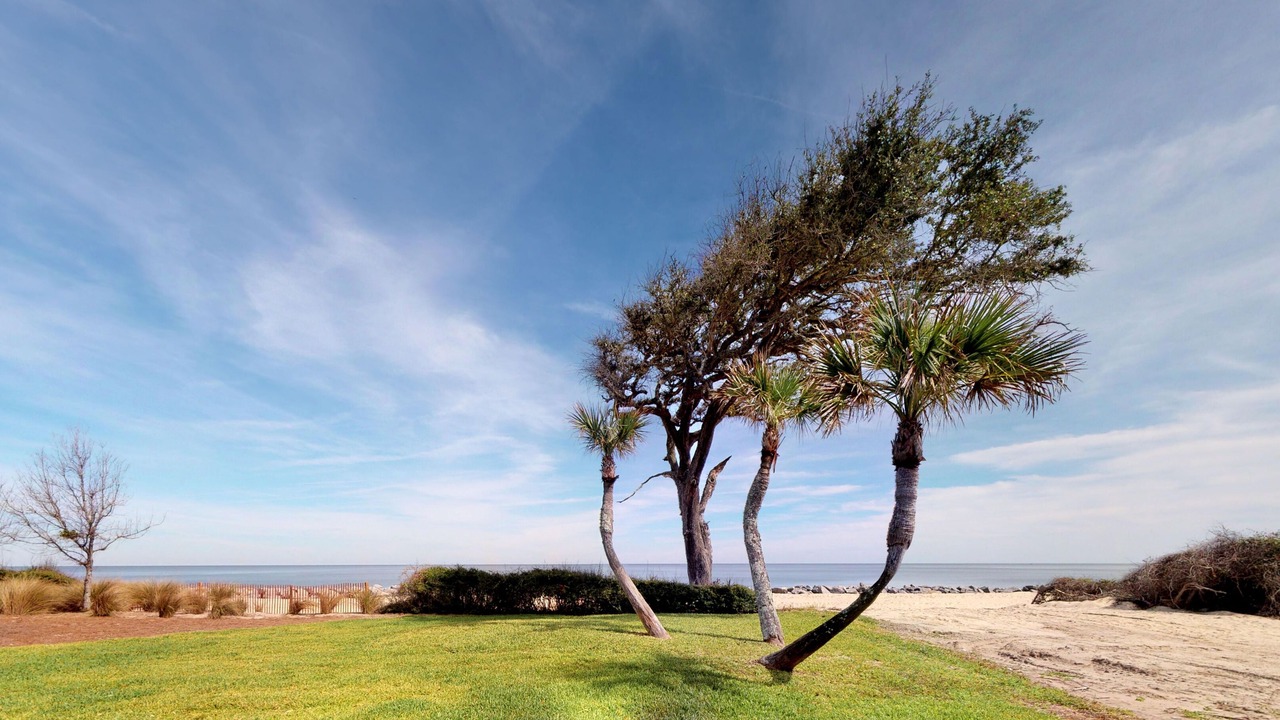 Photo of Others in Jekyll Island
