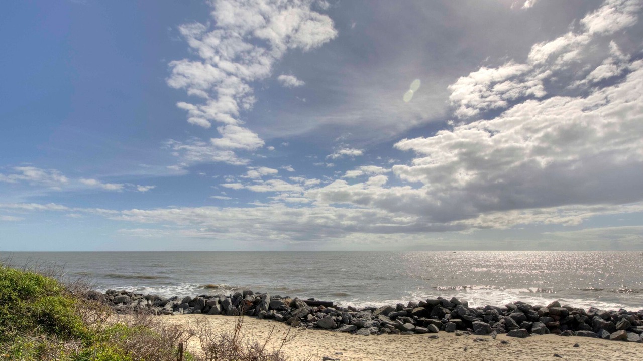 Photo of Others in Jekyll Island