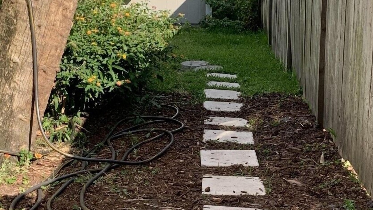 Photo of Others in Avondale