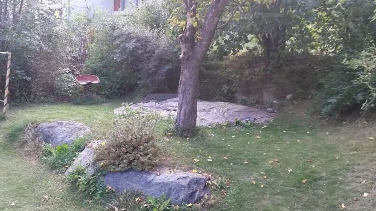 Photo of Others in Fiesch