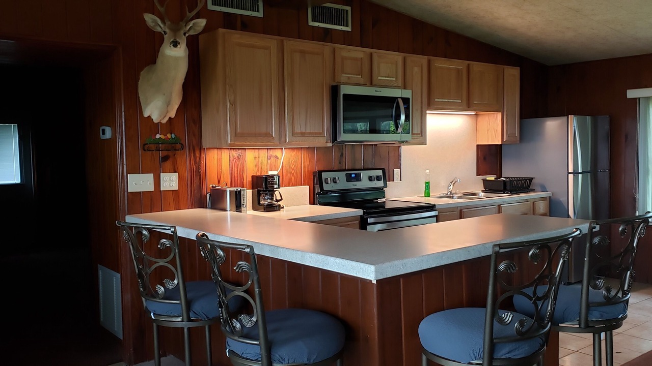 Photo of Kitchen in Plymouth
