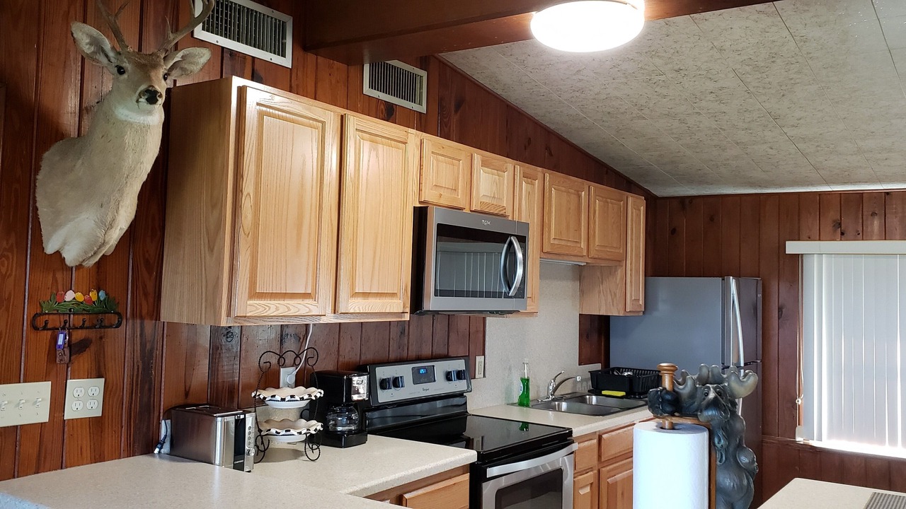 Photo of Kitchen in Plymouth