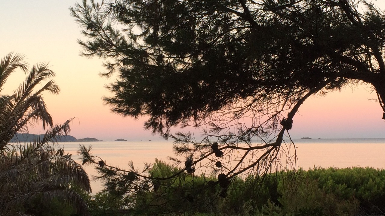 Photo of Others in Carqueiranne