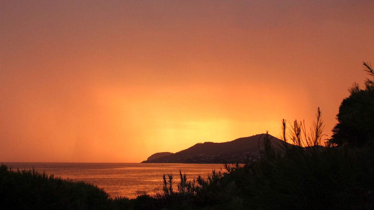 Photo of Others in Carqueiranne