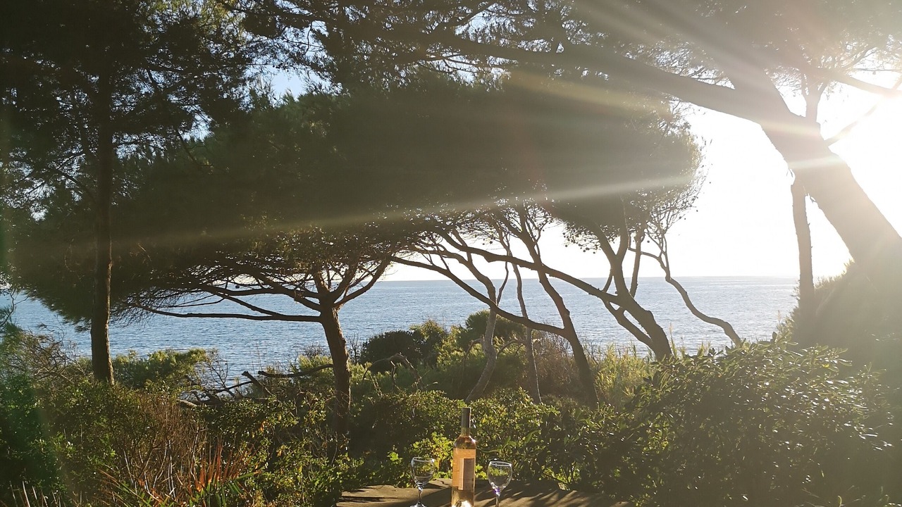 Photo of Outdoor in Carqueiranne