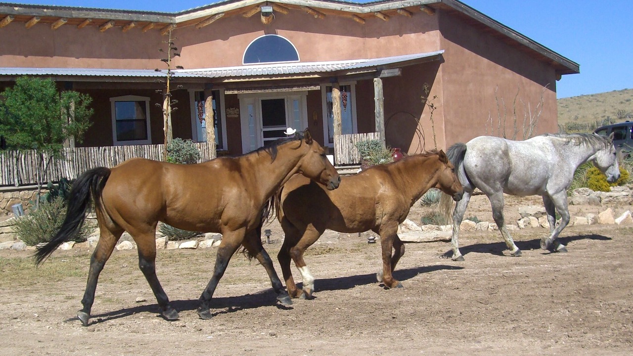 Photo of Outdoor in Hagerman
