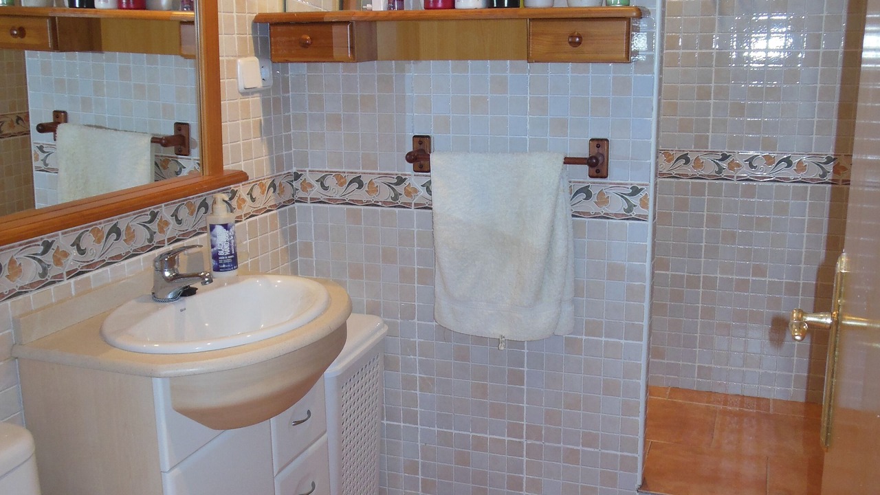 Photo of Bathroom in Algimia de Alfara