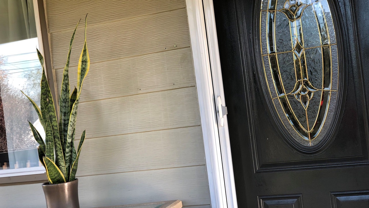 Photo of Outdoor in South End