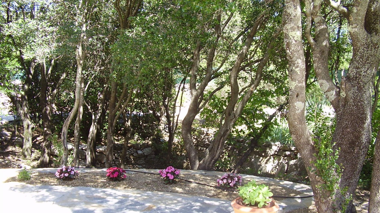 Photo of Outdoor in Viols-le-Fort