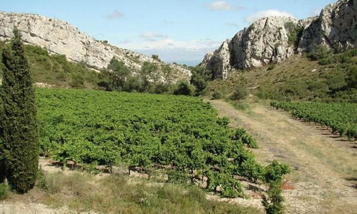 Photo of Others in Roquetaillade
