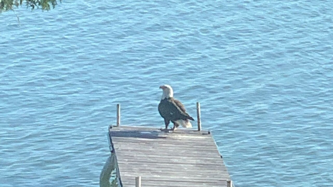 Photo of Others in Presque Isle