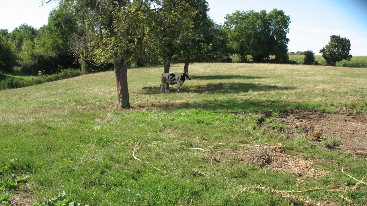 Photo of Others in Bures