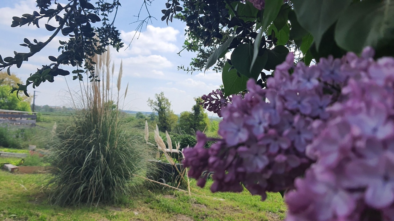 Photo of Outdoor in Target