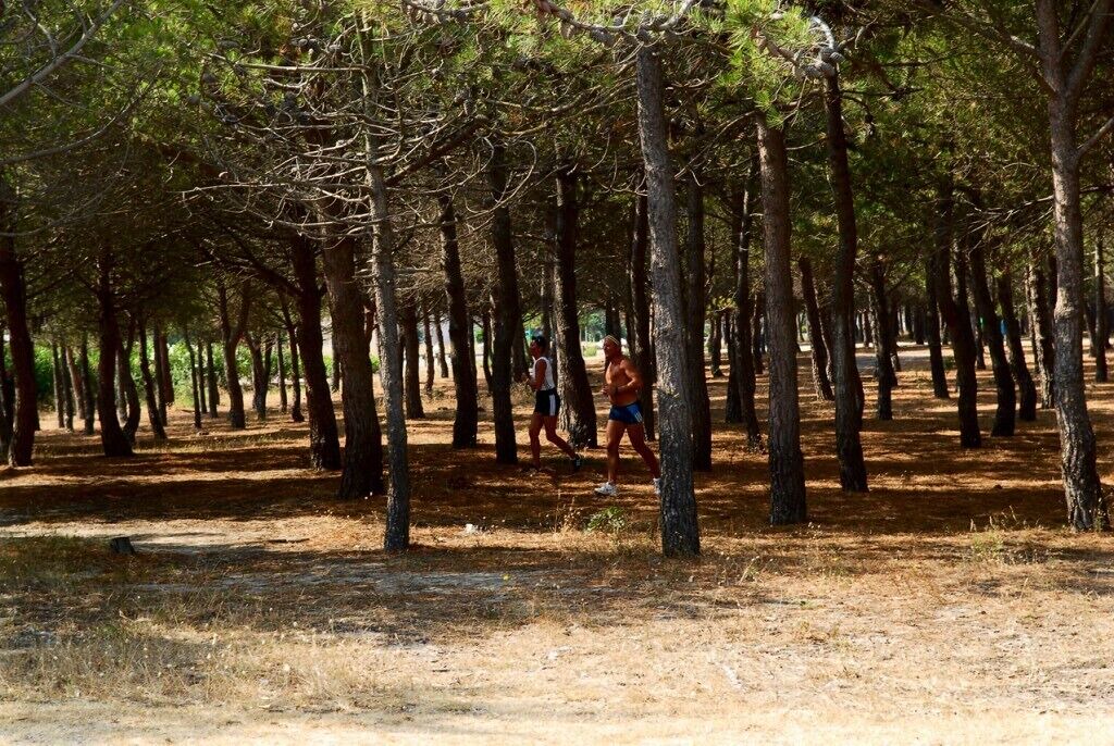 Photo of Outdoor in Le Barcares
