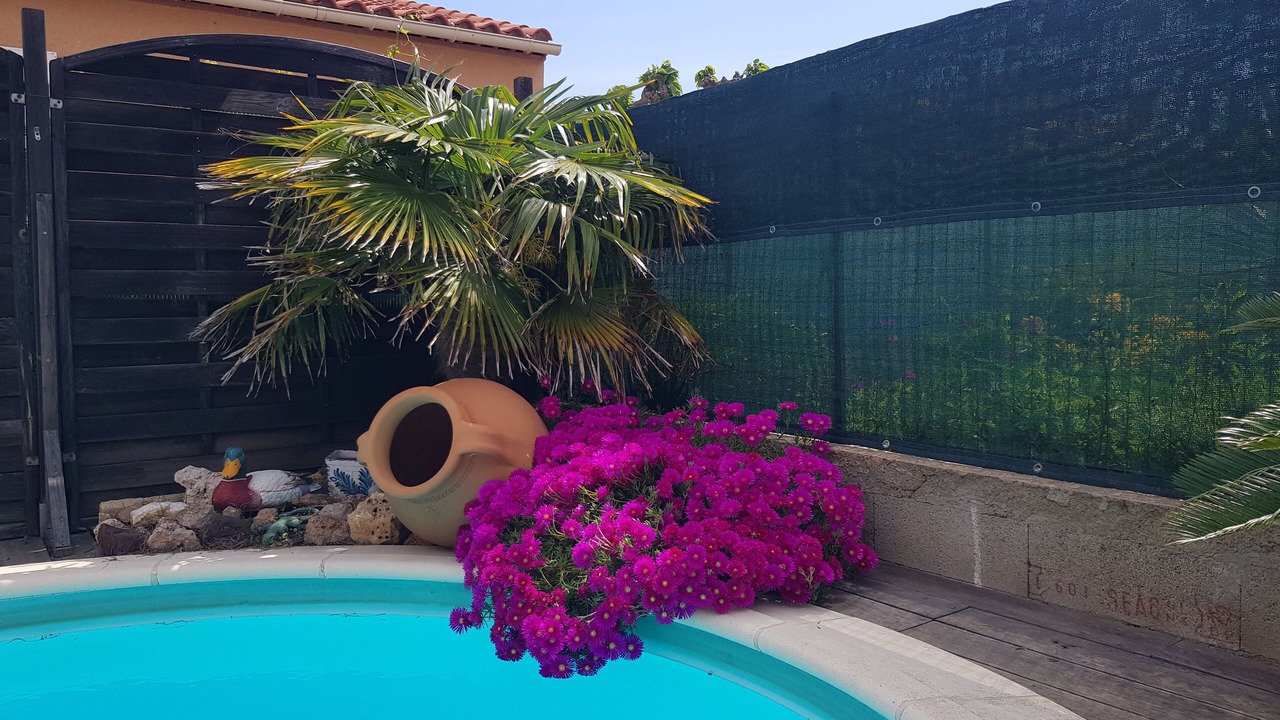 Photo of Outdoor in Le Barcares