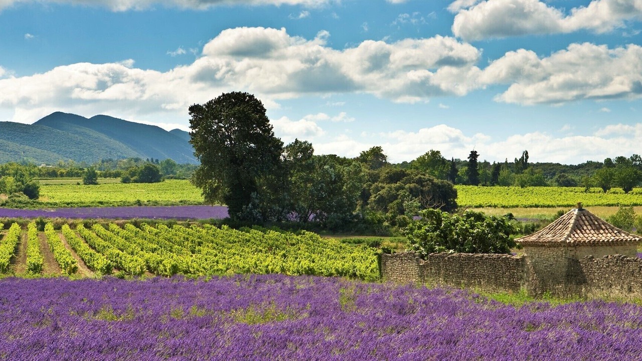 Photo of Outdoor in Chantemerle-les-Grignan