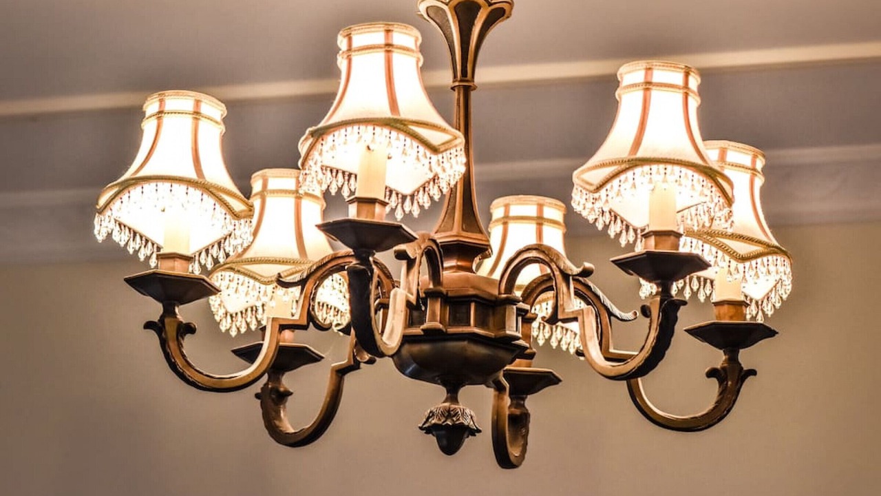 Photo of Others in Maleny