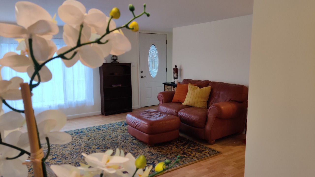 Photo of Others in Chatham