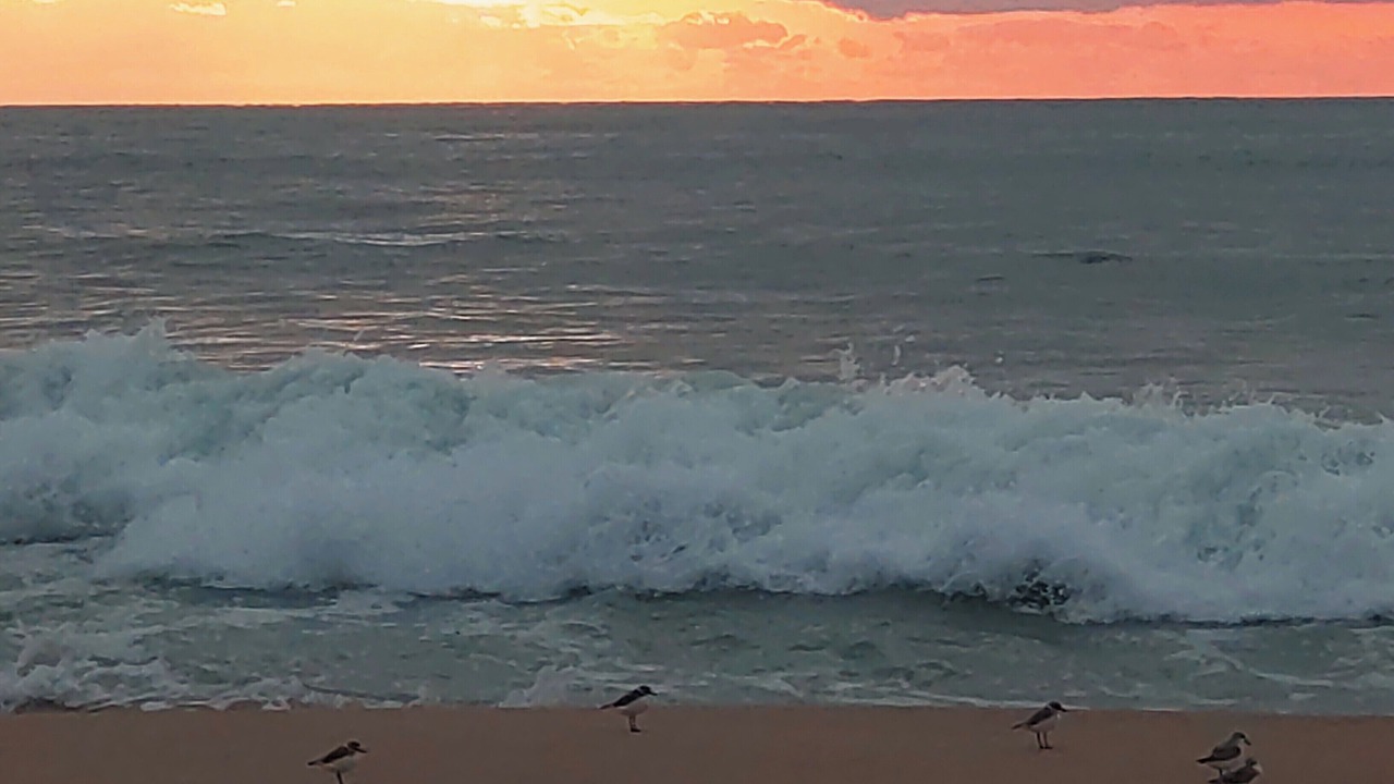 Photo of Others in Maubuisson