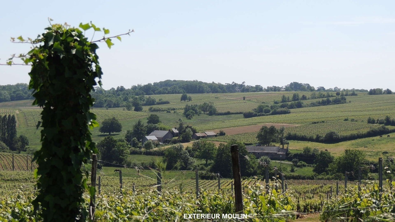 Photo of Outdoor in Faye-d'Anjou