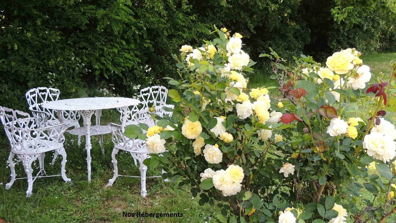 Photo of Outdoor in Faye-d'Anjou