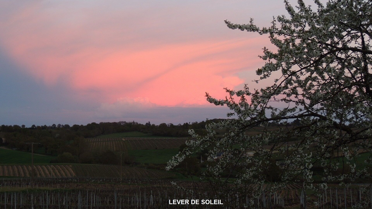 Photo of Outdoor in Faye-d'Anjou