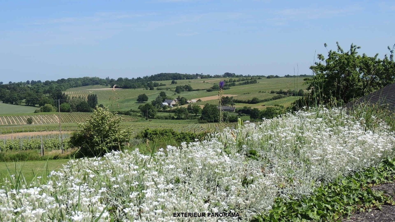 Photo of Outdoor in Faye-d'Anjou