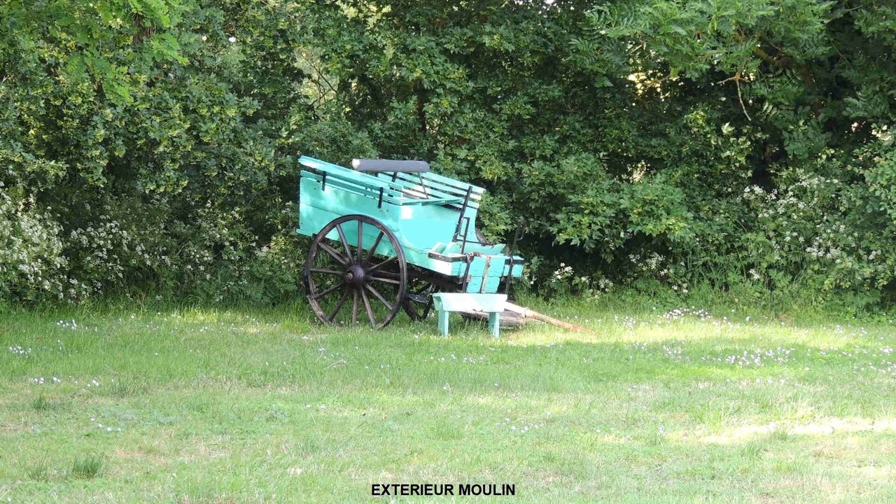 Photo of Outdoor in Faye-d'Anjou
