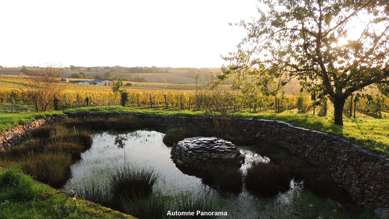 Photo of Outdoor in Faye-d'Anjou