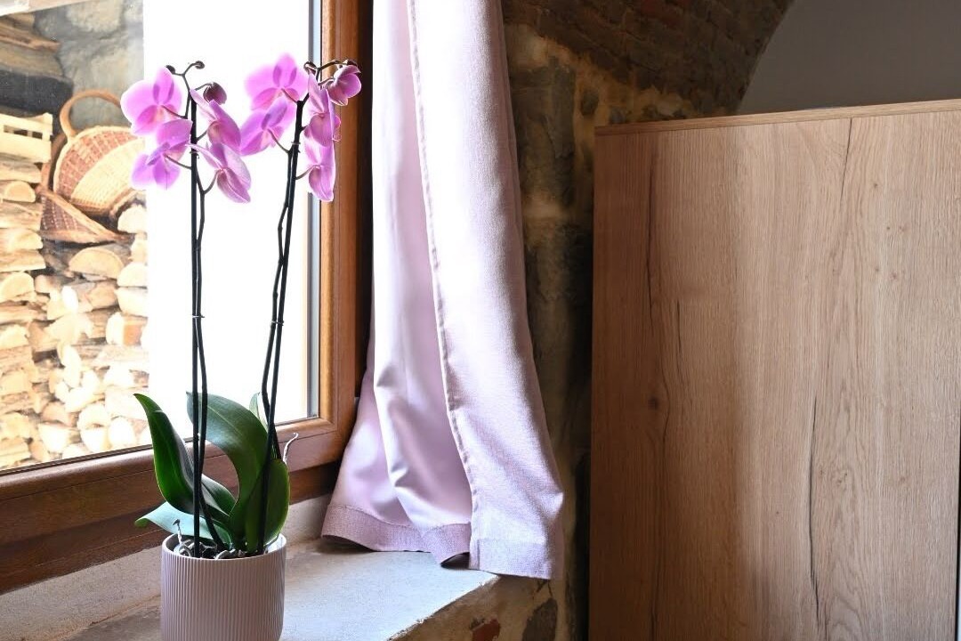 Photo of Others in Chambery