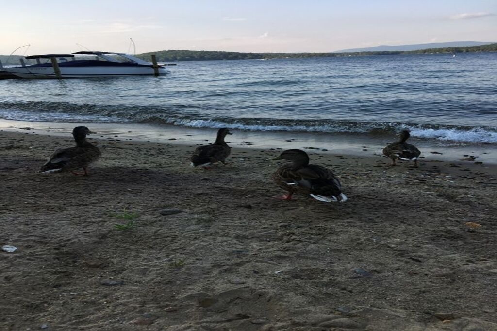 Photo of Others in Weirs Beach