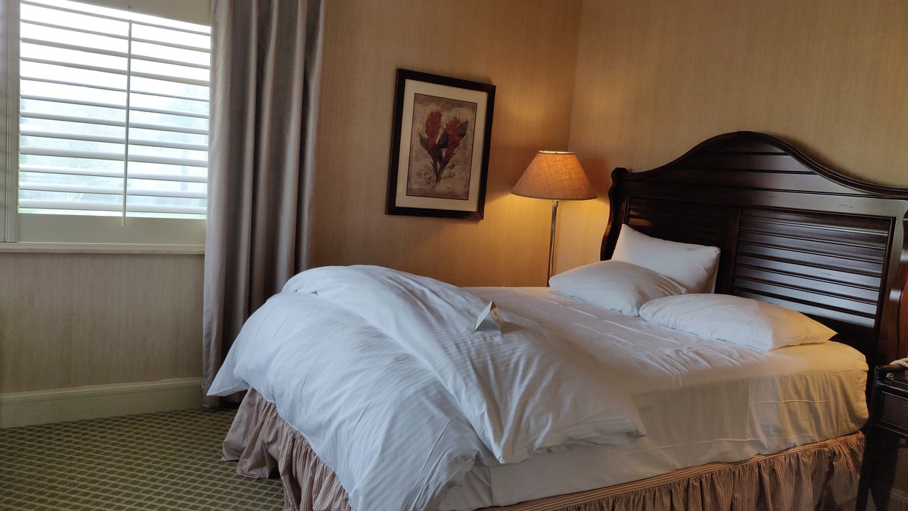 Photo of Bedroom in Wesley Chapel