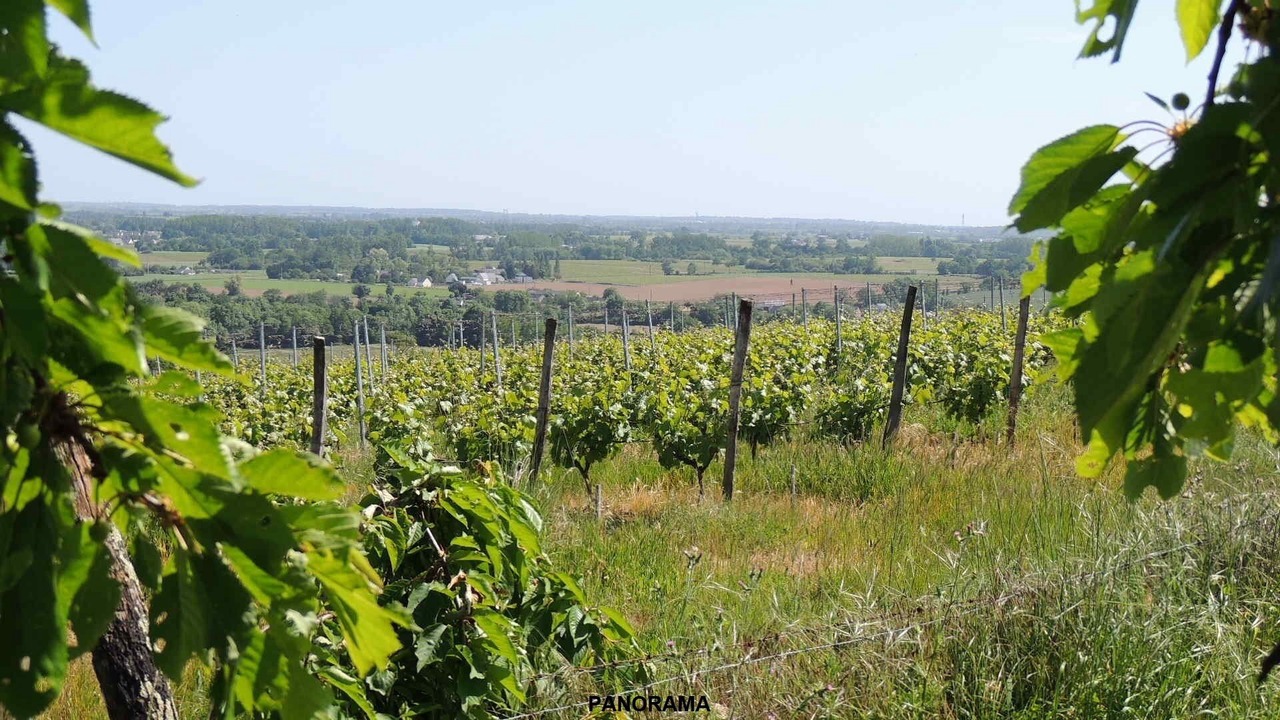 Photo of Outdoor in Faye-d'Anjou