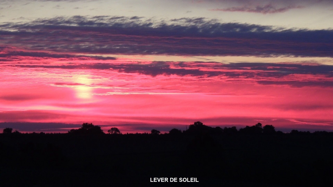 Photo of Others in Faye-d'Anjou