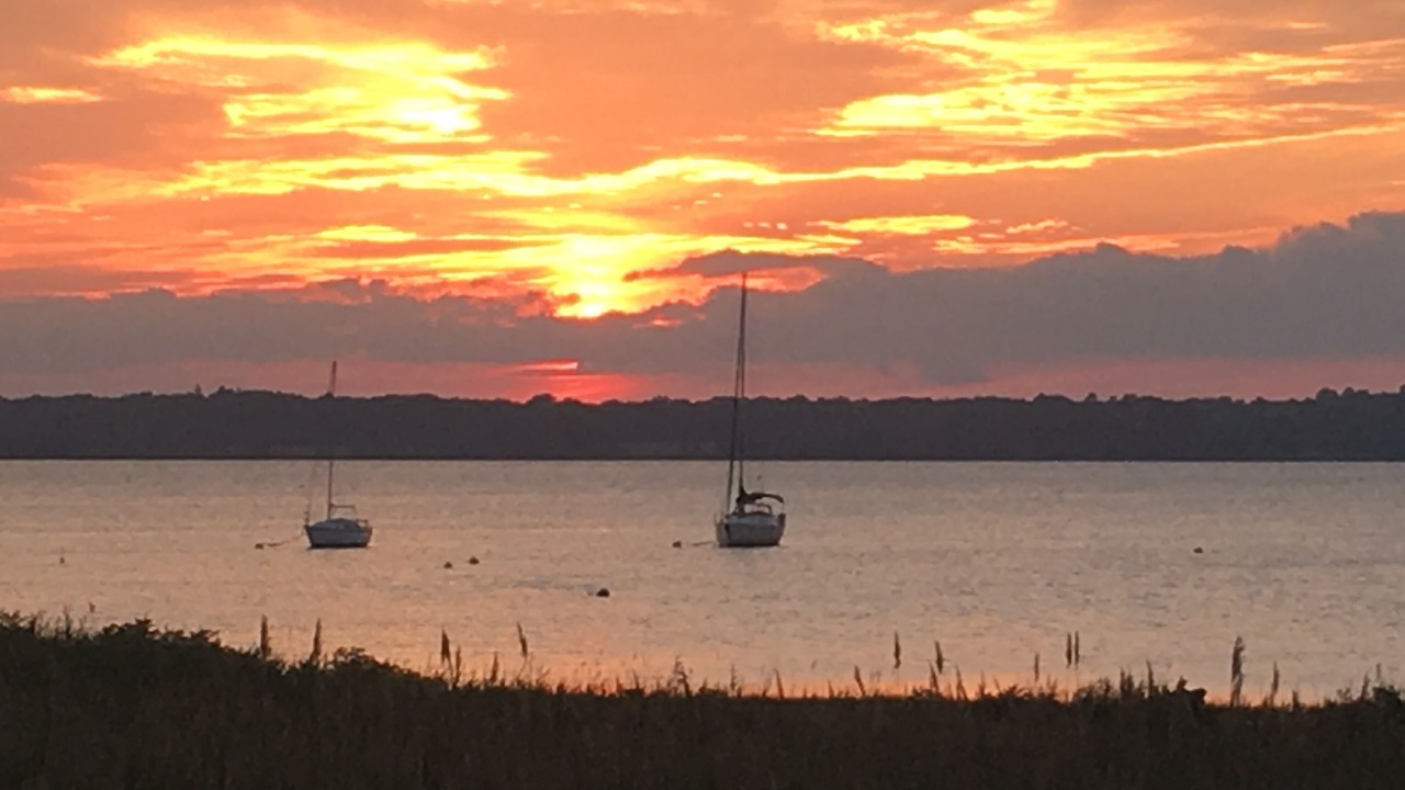 Photo of Others in Portsmouth