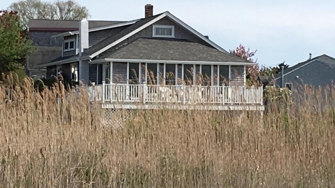 Photo of Others in Portsmouth