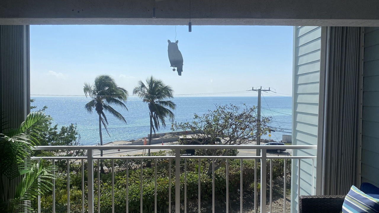 Photo of Outdoor in Key West
