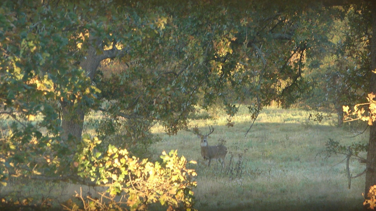 Photo of Outdoor in Fittstown