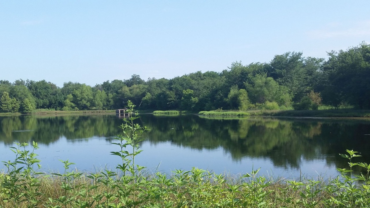 Photo of Outdoor in Fittstown