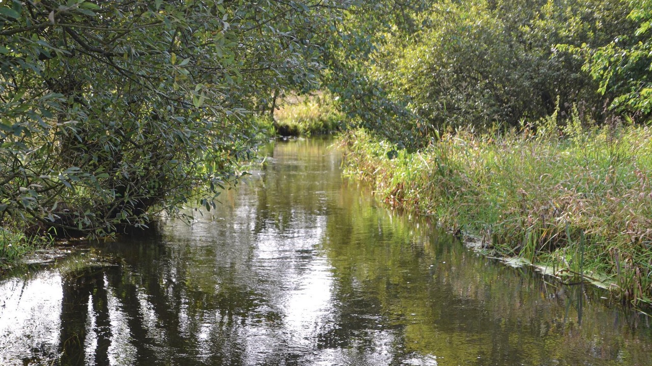 Photo of Others in Tofterup