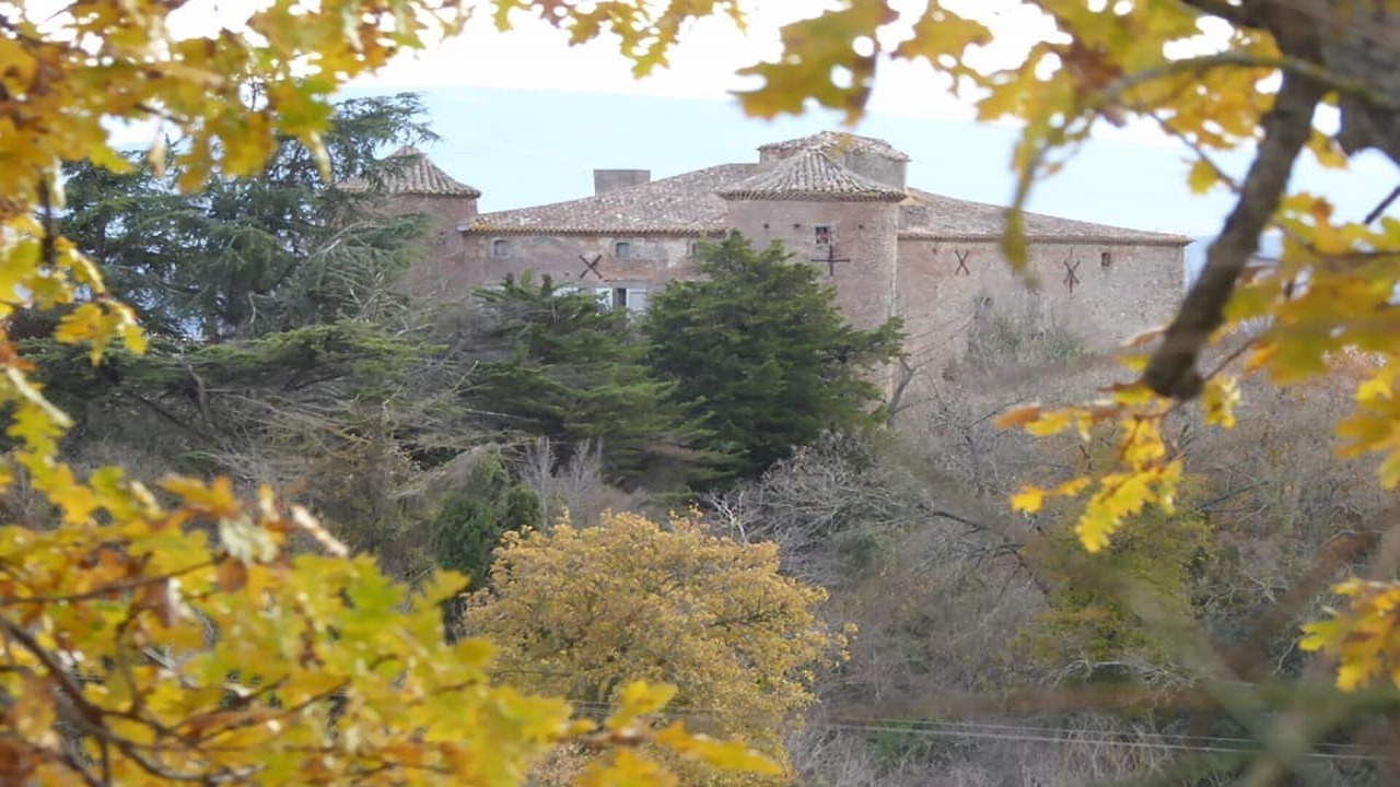 Photo of Outdoor in Villarzel-du-Razes