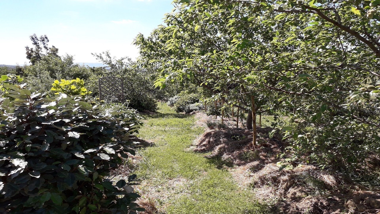 Photo of Outdoor in Villarzel-du-Razes