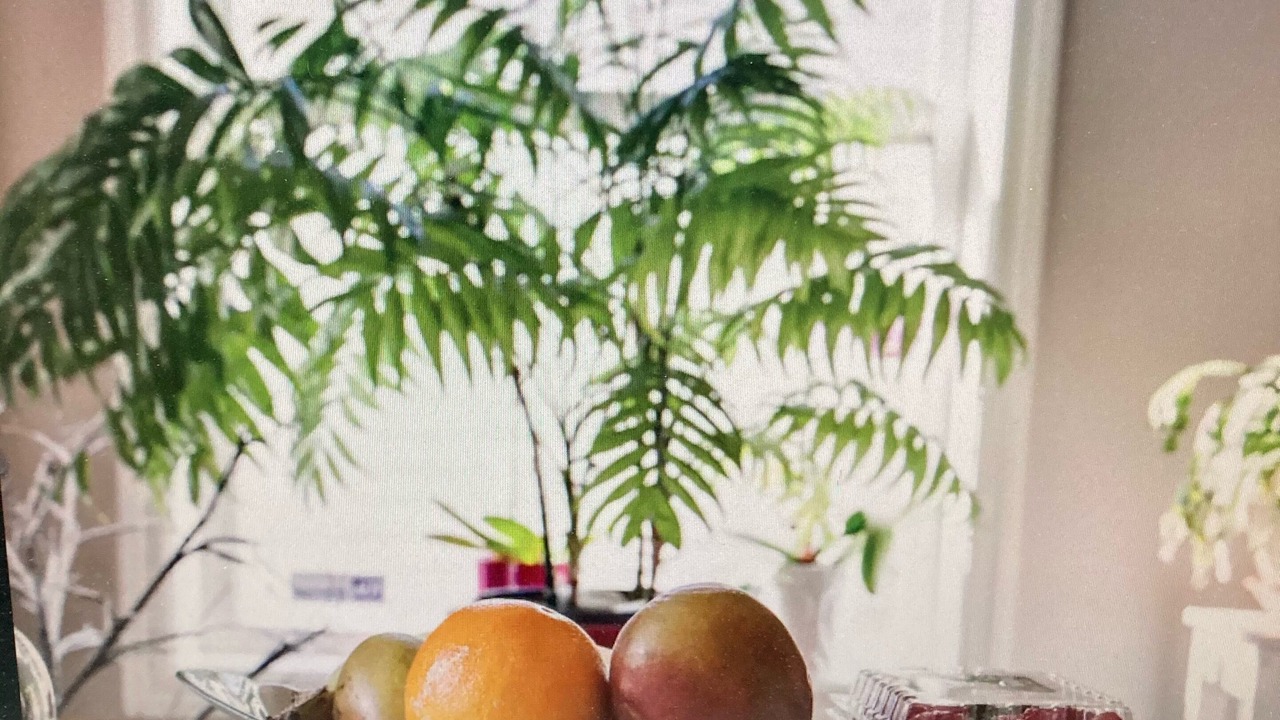 Photo of Others in New Bedford