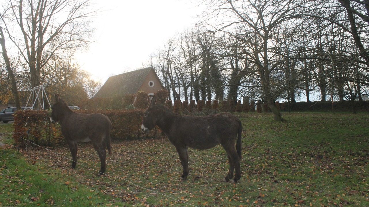 Photo of Outdoor in Touffreville-la-Corbeline