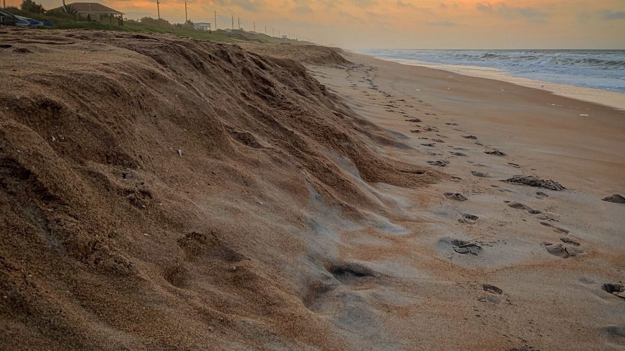 Photo of Others in Ormond Beach