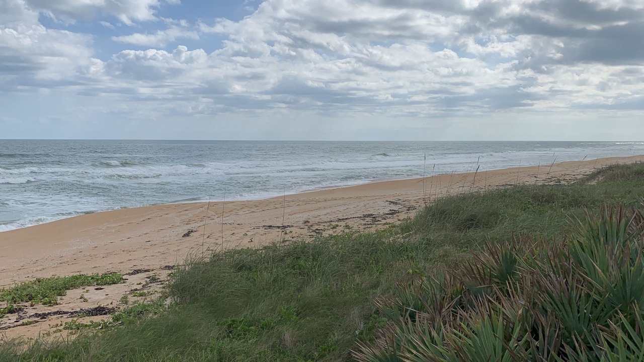 Photo of Others in Ormond Beach