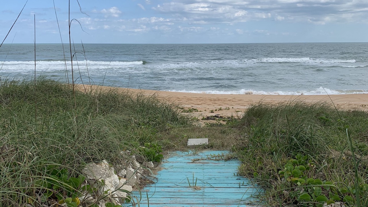 Photo of Others in Ormond Beach