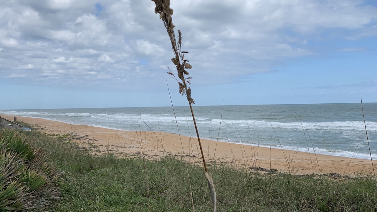 Photo of Others in Ormond Beach