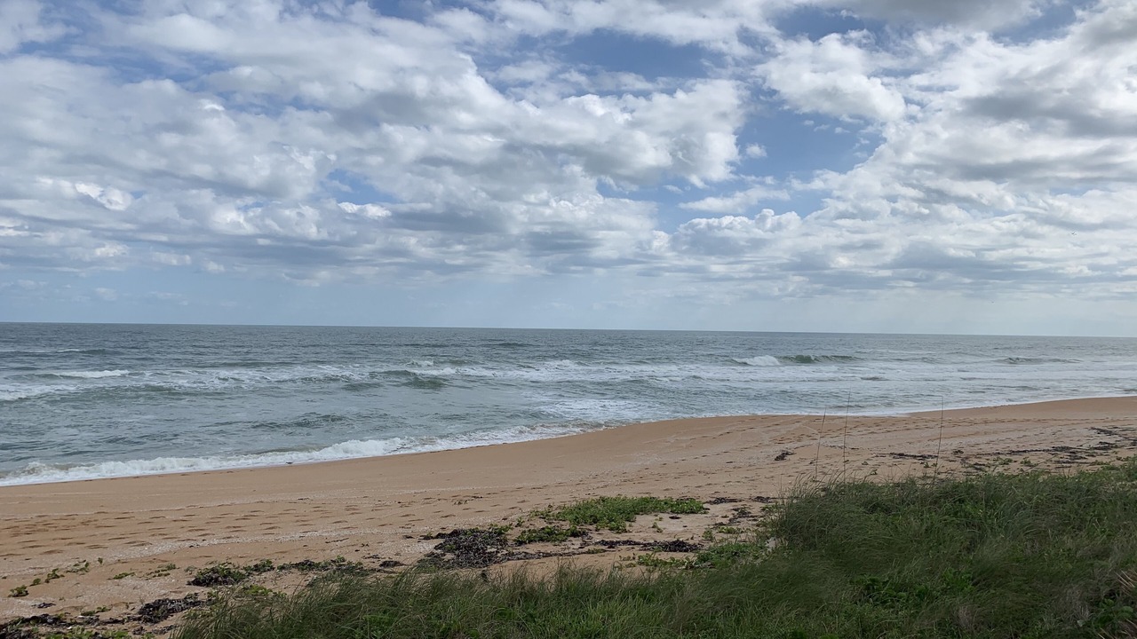 Photo of Others in Ormond Beach